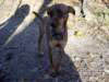 Photo Number 9