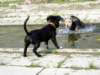 Photo Number 8