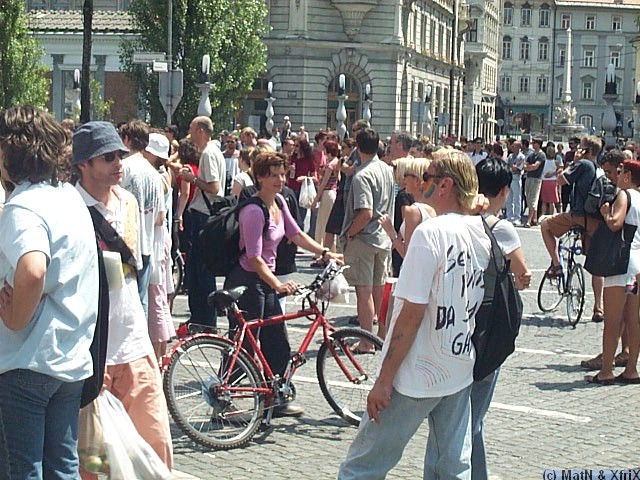 DCP_3109.JPG