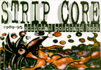 Strip Core 1989 - 95