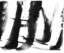 image047_small.jpg