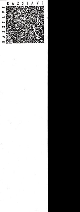 image194.jpg
