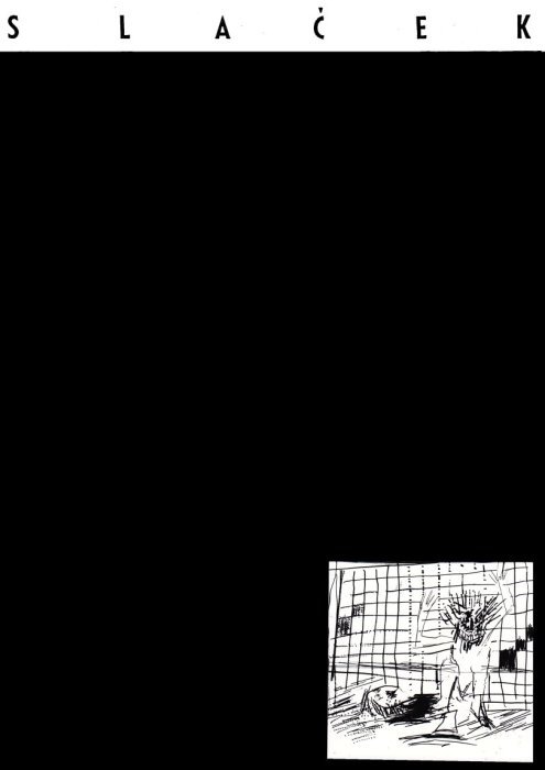 image195.jpg