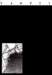 image196_small.jpg