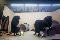 160819 Welcome to Caveland 016foto.nada.zgank.jpg
