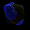 img011.jpeg.small.jpeg