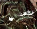 img012.jpeg.small.jpeg