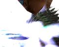 img025.jpeg.small.jpeg