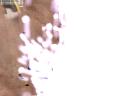 img048.jpeg.small.jpeg