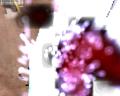img050.jpeg.small.jpeg