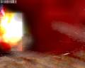 img075.jpeg.small.jpeg