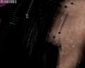 img095.jpeg.small.jpeg