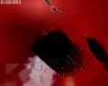 img124.jpeg.small.jpeg
