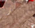 img128.jpeg.small.jpeg