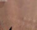 img130.jpeg.small.jpeg