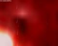 img135.jpeg.small.jpeg