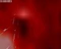 img136.jpeg.small.jpeg