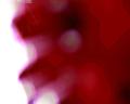img143.jpeg.small.jpeg
