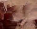 img175.jpeg.small.jpeg