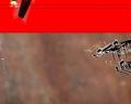 img224.jpeg.small.jpeg