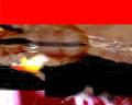 img237.jpeg.small.jpeg