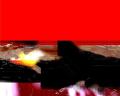 img241.jpeg.small.jpeg