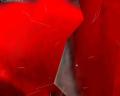 img248.jpeg.small.jpeg