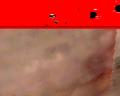 img253.jpeg.small.jpeg