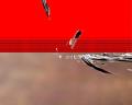 img261.jpeg.small.jpeg
