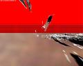 img262.jpeg.small.jpeg
