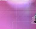 img328.jpeg.small.jpeg