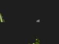 img003.jpeg.small.jpeg