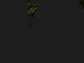img006.jpeg.small.jpeg
