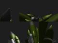 img013.jpeg.small.jpeg