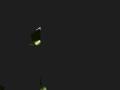 img032.jpeg.small.jpeg