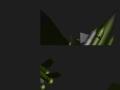 img036.jpeg.small.jpeg