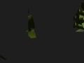 img037.jpeg.small.jpeg