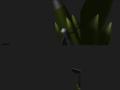 img053.jpeg.small.jpeg