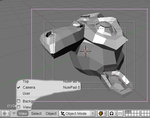 Demonstration of camera view.