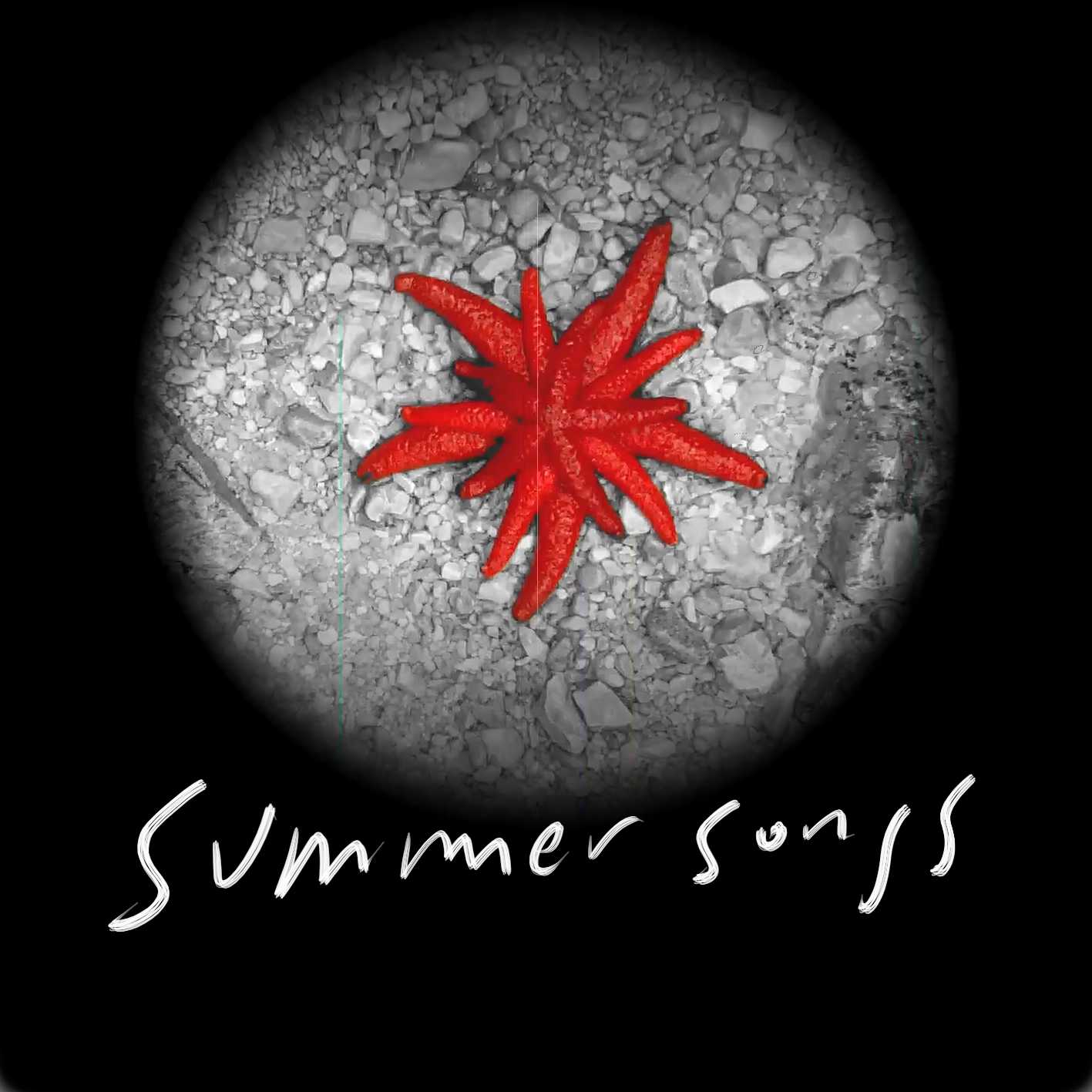 SUMMER SONGS (Francisco Tomsich + Borut Savski)